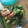 イルカ3's cooksnap of when they made 簡単！海老とアスパラの塩炒め。弁当にも。.
