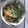 yukiwie's cooksnap of when they made パッタイ.