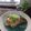 ☆micoco☆'s cooksnap of when they made 塩サバで簡単、鯖のみぞれかけ.