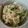 まりまる子's cooksnap of when they made 簡単！美味しい！おからサラダ！.