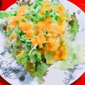 シマシマリス's cooksnap of when they made 人参ドレッシング.