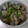 rika0827's cooksnap of when they made あさりの酒蒸し.