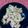 クックIEA950☆'s cooksnap of when they made 簡単！おからサラダ.