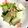 もんす。's cooksnap of when they made 白菜とシーチキンのコンソメ煮.