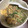 ミコティ's cooksnap of when they made 水菜の卵炒め♪簡単.
