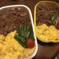 静香御前's cooksnap of when they made そぼろ.