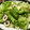 tomoyo0722's cooksnap of when they made ちくわのサラダ.