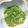 まゆまゆまゆねこ's cooksnap of when they made 木の芽みそ.