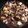 705peanuts's cooksnap of when they made 簡単！旨い！ヤリイカのアヒージョ.