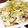 ♪♪リエ♪♪'s cooksnap of when they made トンテキの長ネギたっぷりソース.