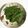 みんなばあばの宝物！'s cooksnap of when they made スナップエンドウの胡麻和え お弁当にも.
