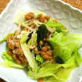 nosso's cooksnap of when they made レタスにワカメ､おまけにえのきの納豆和え.