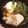 Ayakoz's cooksnap of when they made くずし豆腐とクレソンのスープ.