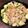 ポテチ君's cooksnap of when they made 簡単さっぱり！アボカドびんちょうまぐろ丼.