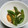 ☆yopipi's cooksnap of when they made 桜エビと絹さや、厚揚げの煮物.
