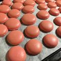 あやちゃん3140's cooksnap of when they made マカロンフィナンシェに…応急サラサラ卵白.
