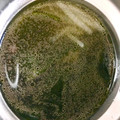 ＊なみへい＊'s cooksnap of when they made ワカメとモヤシのスープ(ショウガ風味).