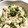 ちづりんも's cooksnap of when they made 簡単♪ねりごまと枝豆の白和え☆.