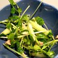Neity's cooksnap of when they made 豆苗ときゅうりとツナのサラダ.