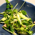 Neity's cooksnap of when they made 豆苗ときゅうりとツナのサラダ.