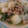 柊さくら's cooksnap of when they made 豚こまとかぶのさっと煮.
