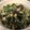 あ～み's cooksnap of when they made 子ども大好き枝豆ひじきサラダ 貧血にも.
