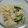 sato3191's cooksnap of when they made おからでめんたいこサラダ.