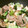 ☆こまっと☆'s cooksnap of when they made 青梗菜と厚揚げの中華炒め.