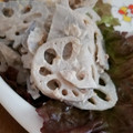 まおたろう1's cooksnap of when they made シャキっと和風れんこんサラダ(ゴマだれ).