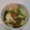 Yongren's cooksnap of when they made ほうれん草と玉ねぎの納豆和え.