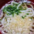 クックQNOM99☆'s cooksnap of when they made 夏にピッタリ！冷やしうどん.
