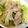 emic00kpad's cooksnap of when they made 白菜と豚の冷しゃぶ.