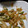 小５料理男子's cooksnap of when they made アスパラとじゃがいものバター炒め♪.