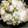 ゆっきん♪'s cooksnap of when they made 豆とお塩だけ！塩加減抜群☆豆ごはん.