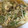 novia_k's cooksnap of when they made 節約★ひき肉もやしの卵とじ★.