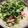 マイ食卓's cooksnap of when they made ボウルひとつで簡単♪黒ゴマ冷やし担担麺＊.