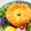 makichihua's cooksnap of when they made しっとりふわっ＊レモンシフォンケーキ.