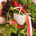 智恵ちゃんのつく恋慕's cooksnap of when they made レタスとカニカマのもりもりサラダ。.