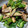 hiro003's cooksnap of when they made なすとピーマンの味噌炒め.