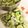 くまぴこ222's cooksnap of when they made 空豆の冷凍保存～生で冷凍する方法～.