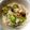 barirarira's cooksnap of when they made 空豆とツナの炊き込みご飯.