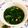 fromMay's cooksnap of when they made 簡単：パクチーたっぷりわかめスープ.