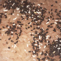 りーとぽん's cooksnap of when they made 簡単☆炊飯器でお赤飯.
