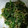 ｽｶｲﾌｨｯｼｭ☆'s cooksnap of when they made 簡単☆ほうれん草の海苔ゴマあえ.