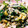 mo＊mo's cooksnap of when they made 白菜とひじきの激ウマサラダ♪.