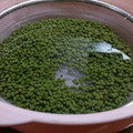 クックVL4391☆'s cooksnap of when they made 山椒の実の下処理と冷凍保存.