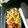 megmicky's cooksnap of when they made たけのことそら豆の炊き込みご飯.