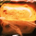 ゆうきいた's cooksnap of when they made お弁当のだし巻卵.