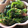yurippii's cooksnap of when they made ほうれん草の味噌ごま和え♪10分で簡単♪.