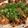 こっぴのまま's cooksnap of when they made チキン南蛮、改訂版.